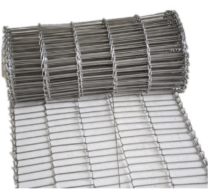 De aangepaste Transportband van Roestvrij staal Vlakke Flex Belt Wire Mesh Egg