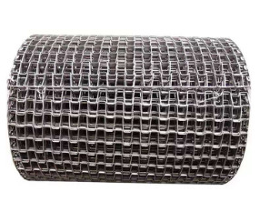 De sterke Vlakke Draad Mesh Chain Belt For Conveyor van 316SS