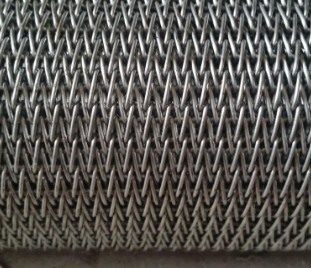 SS 304 Duidelijk Weefseldraad Mesh Flat Wire Mesh Belt voor Droge Noten die Machine roosteren