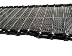 SS 304 Duidelijk Weefseldraad Mesh Flat Wire Mesh Belt voor Droge Noten die Machine roosteren