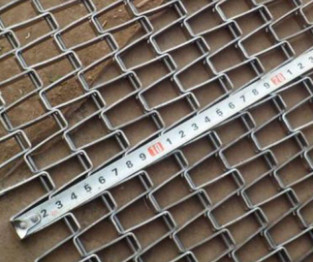 Het Roestvrije staal Mesh Belt Wire Conveyor van DIN JIS met Enige Lijnrand