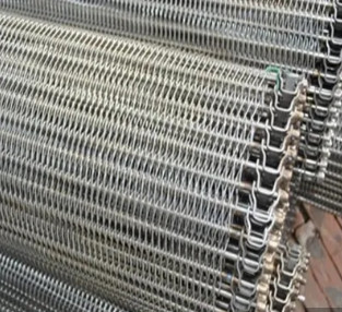 Riem van het Weefselmesh wire fabric for conveyor van de metaalketting de Spiraalvormige Nederlandse