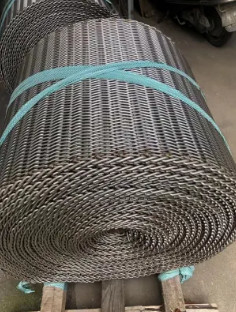 SS304-Spiraalvormige de Diepvriezerriem op hoge temperatuur van de Roestvrij staalketting voor drogere machine