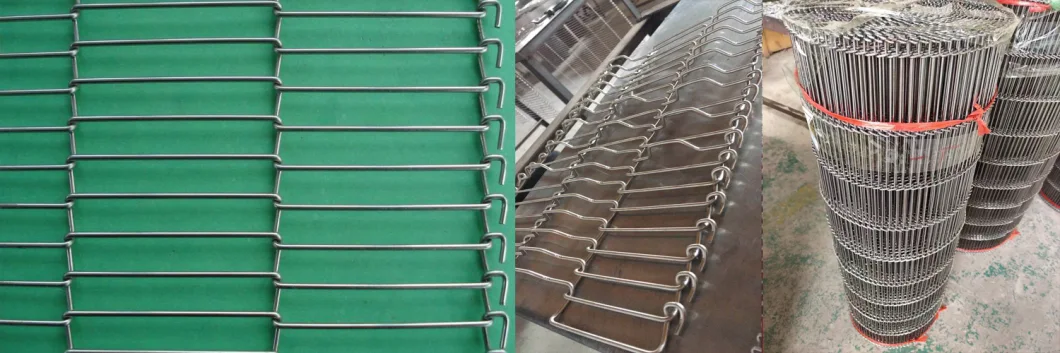 Gedreven het Latjeketting van Mesh Conveyor Belt SS van de Roldraad met Gehechtheid 4