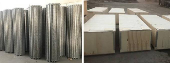 Gegalvaniseerd Hoef Scharnierend de Draadnet van de Roestvrij staalTransportband 8