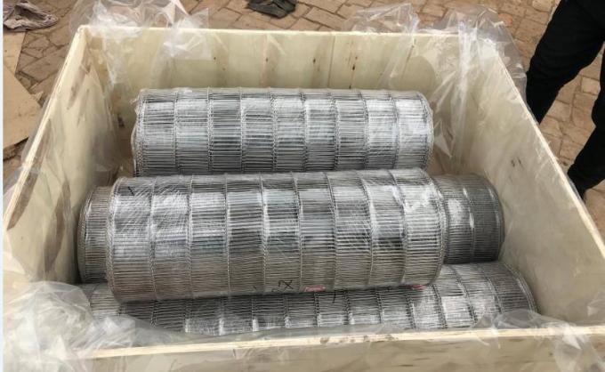 SUS316L Vervaardiging Mesh Wire van de roestvrij staal de Overdraagbare Transportband 5