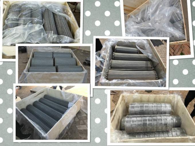 SUS316L Vervaardiging Mesh Wire van de roestvrij staal de Overdraagbare Transportband 6